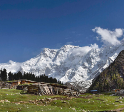 Fairy Meadows & Nanga Parbat